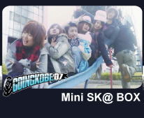 Mini SK@BOX